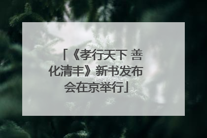 《孝行天下 善化清丰》新书发布会在京举行