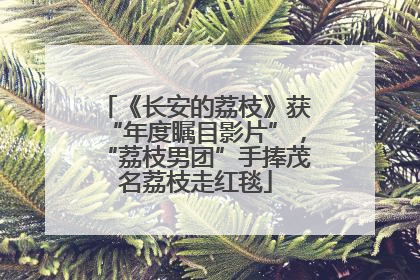 《长安的荔枝》获“年度瞩目影片”，“荔枝男团”手捧茂名荔枝走红毯
