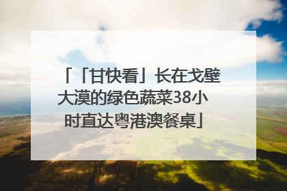 「甘快看」长在戈壁大漠的绿色蔬菜38小时直达粤港澳餐桌