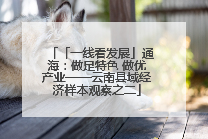 「一线看发展」通海：做足特色 做优产业——云南县域经济样本观察之二