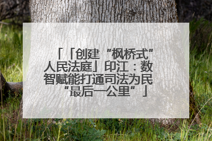 「创建“枫桥式”人民法庭」印江：数智赋能打通司法为民“最后一公里”