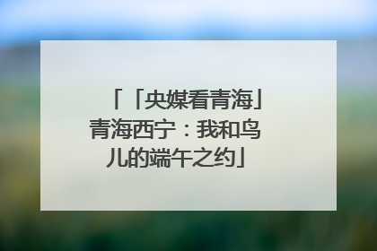 「央媒看青海」青海西宁：我和鸟儿的端午之约