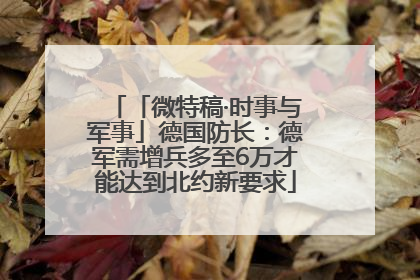 「微特稿·时事与军事」德国防长：德军需增兵多至6万才能达到北约新要求
