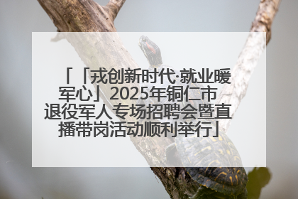 「戎创新时代·就业暖军心」2025年铜仁市退役军人专场招聘会暨直播带岗活动顺利举行