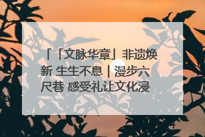 「文脉华章」非遗焕新 生生不息｜漫步六尺巷 感受礼让文化浸润的“巷”往生活