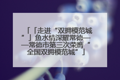 「走进“双拥模范城”」鱼水情深耀常德——常德市第三次荣膺“全国双拥模范城”