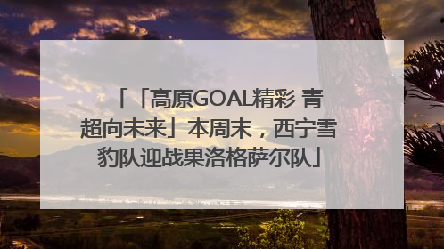 「高原GOAL精彩 青超向未来」本周末，西宁雪豹队迎战果洛格萨尔队