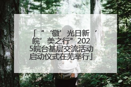 “‘徽’光日新‘皖’美之行”2025皖台基层交流活动启动仪式在芜举行