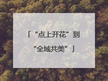 “点上开花”到“全域共美”