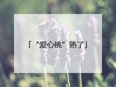 “爱心桃”熟了