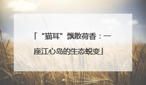 “猫耳”飘散荷香：一座江心岛的生态蜕变
