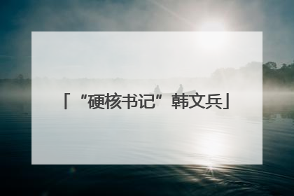 “硬核书记”韩文兵