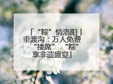 “粽”情洛阳丨重渡沟：万人免费“搂席” “粽”享非遗盛宴