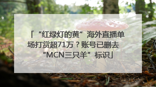 “红绿灯的黄”海外直播单场打赏超71万？账号已删去“MCN三只羊”标识