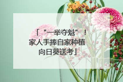“一举夺魁”！家人手捧自家种植向日葵送考