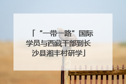 “一带一路”国际学员与西藏干部到长沙县湘丰村研学