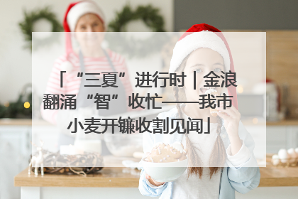 “三夏”进行时｜金浪翻涌“智”收忙——我市小麦开镰收割见闻
