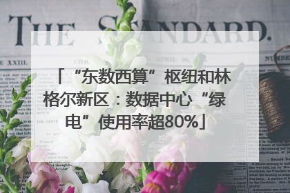 “东数西算”枢纽和林格尔新区：数据中心“绿电”使用率超80%