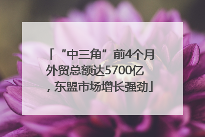 “中三角”前4个月外贸总额达5700亿，东盟市场增长强劲