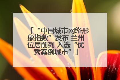 “中国城市网络形象指数”发布 兰州位居前列 入选“优秀案例城市”