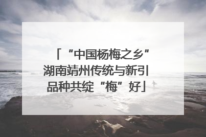 “中国杨梅之乡”湖南靖州传统与新引品种共绽“梅”好
