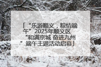 “乐游顺义，粽情端午”2025年顺义区“和满京城 奋进九州”端午主题活动启幕