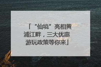 “仙境”亮相黄浦江畔，三大优惠游玩政策等你来