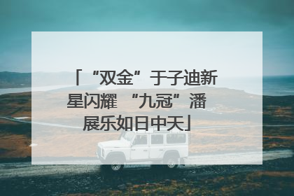 “双金”于子迪新星闪耀 “九冠”潘展乐如日中天