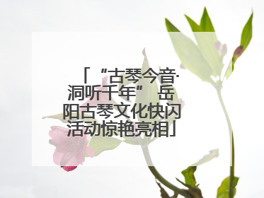 “古琴今音·洞听千年” 岳阳古琴文化快闪活动惊艳亮相