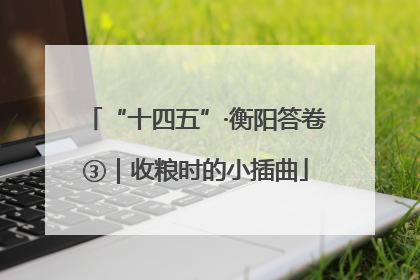 “十四五”·衡阳答卷③｜收粮时的小插曲