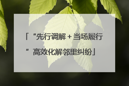 “先行调解＋当场履行”高效化解邻里纠纷