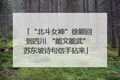 “北斗女神”徐颖回到四川 “能文能武”苏东坡诗句信手拈来