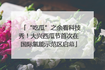 “吃瓜”之余看科技秀！大兴西瓜节首次在国际氢能示范区启幕