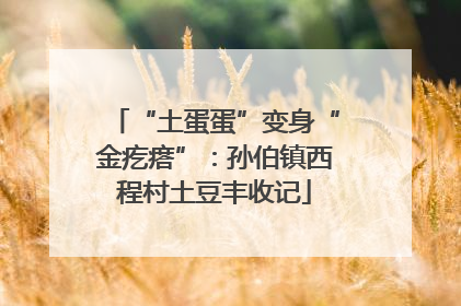 “土蛋蛋”变身“金疙瘩”：孙伯镇西程村土豆丰收记