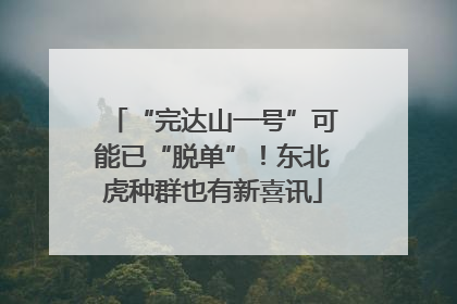 “完达山一号”可能已“脱单”！东北虎种群也有新喜讯