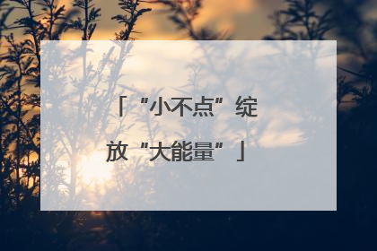 “小不点”绽放“大能量”