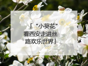 “小葵花”看西安走进丝路欢乐世界