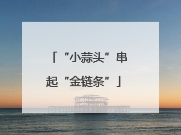“小蒜头”串起“金链条”