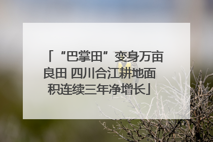 “巴掌田”变身万亩良田 四川合江耕地面积连续三年净增长