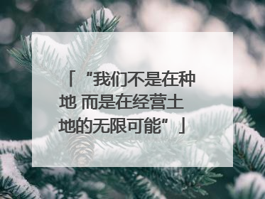 “我们不是在种地 而是在经营土地的无限可能”