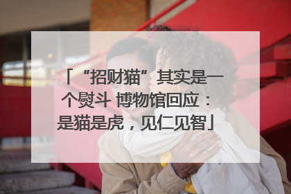 “招财猫”其实是一个熨斗 博物馆回应：是猫是虎，见仁见智