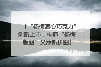 “杨梅酒心巧克力”创新上市，桐庐“杨梅版图”又添新拼图
