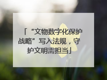 “文物数字化保护战略”写入法规，守护文明需担当