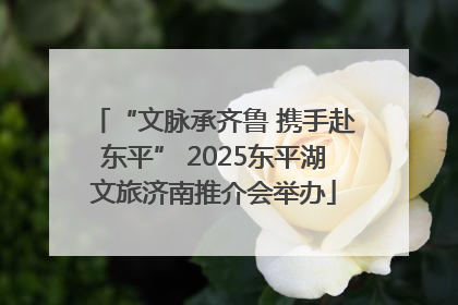 “文脉承齐鲁 携手赴东平” 2025东平湖文旅济南推介会举办
