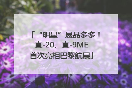 “明星”展品多多！直-20、直-9ME首次亮相巴黎航展