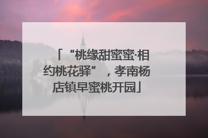 “桃缘甜蜜蜜·相约桃花驿”，孝南杨店镇早蜜桃开园