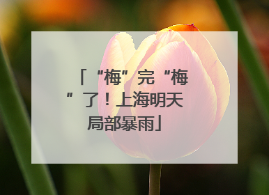 “梅”完“梅”了！上海明天局部暴雨