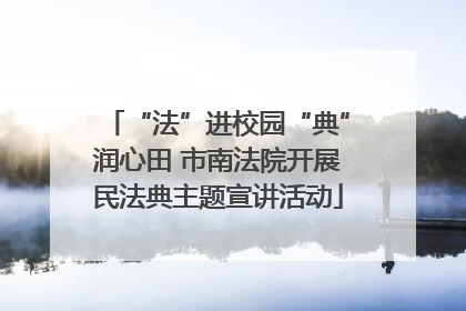“法”进校园“典”润心田 市南法院开展民法典主题宣讲活动