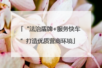 “法治盾牌+服务快车”打造优质营商环境