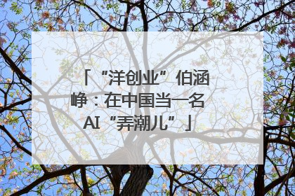 “洋创业”伯涵峥：在中国当一名AI“弄潮儿”